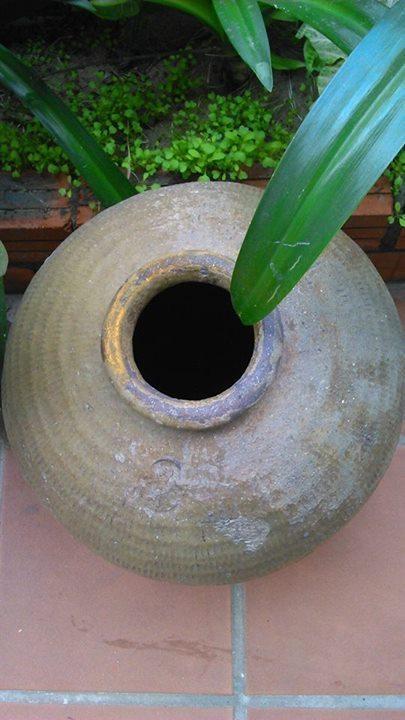 Thao Nguyen Phat Homestay Hoi An Esterno foto